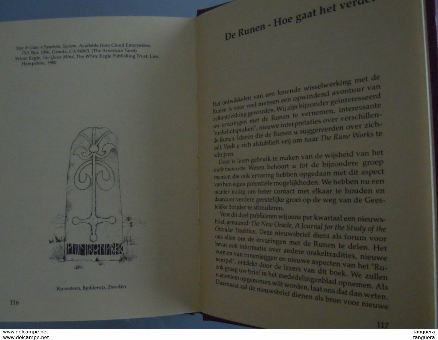 Orakel Der Runen Handboek Voor Gebruik En Interpretatie Van Een Oud Orakel; De Runnen Door Ralph Blum ZONDER De Stenen - Sachbücher