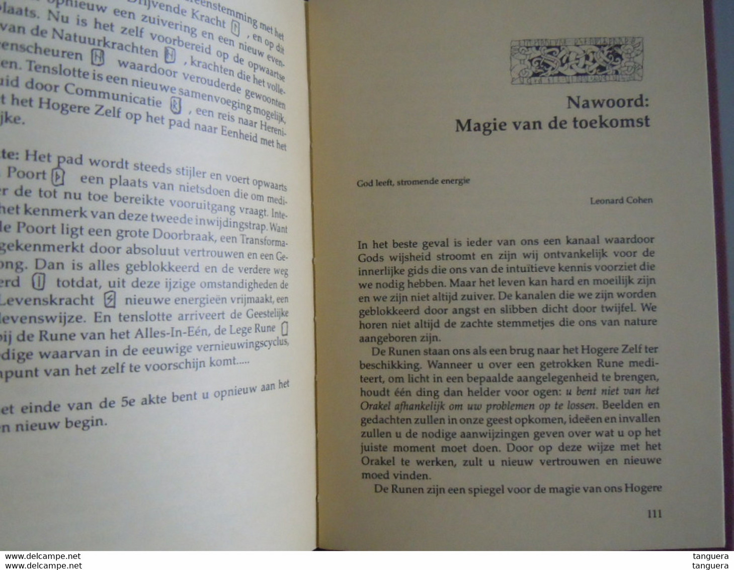 Orakel Der Runen Handboek Voor Gebruik En Interpretatie Van Een Oud Orakel; De Runnen Door Ralph Blum ZONDER De Stenen - Sachbücher