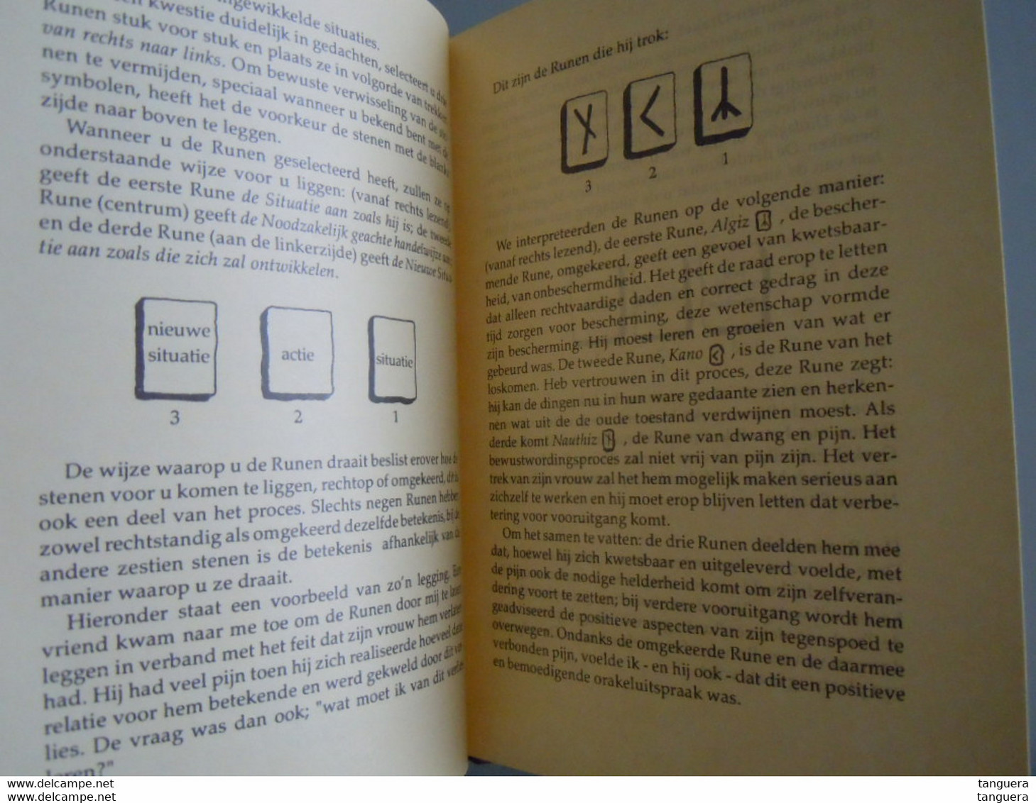 Orakel der Runen Handboek voor gebruik en interpretatie van een oud orakel; de Runnen door Ralph Blum ZONDER de stenen