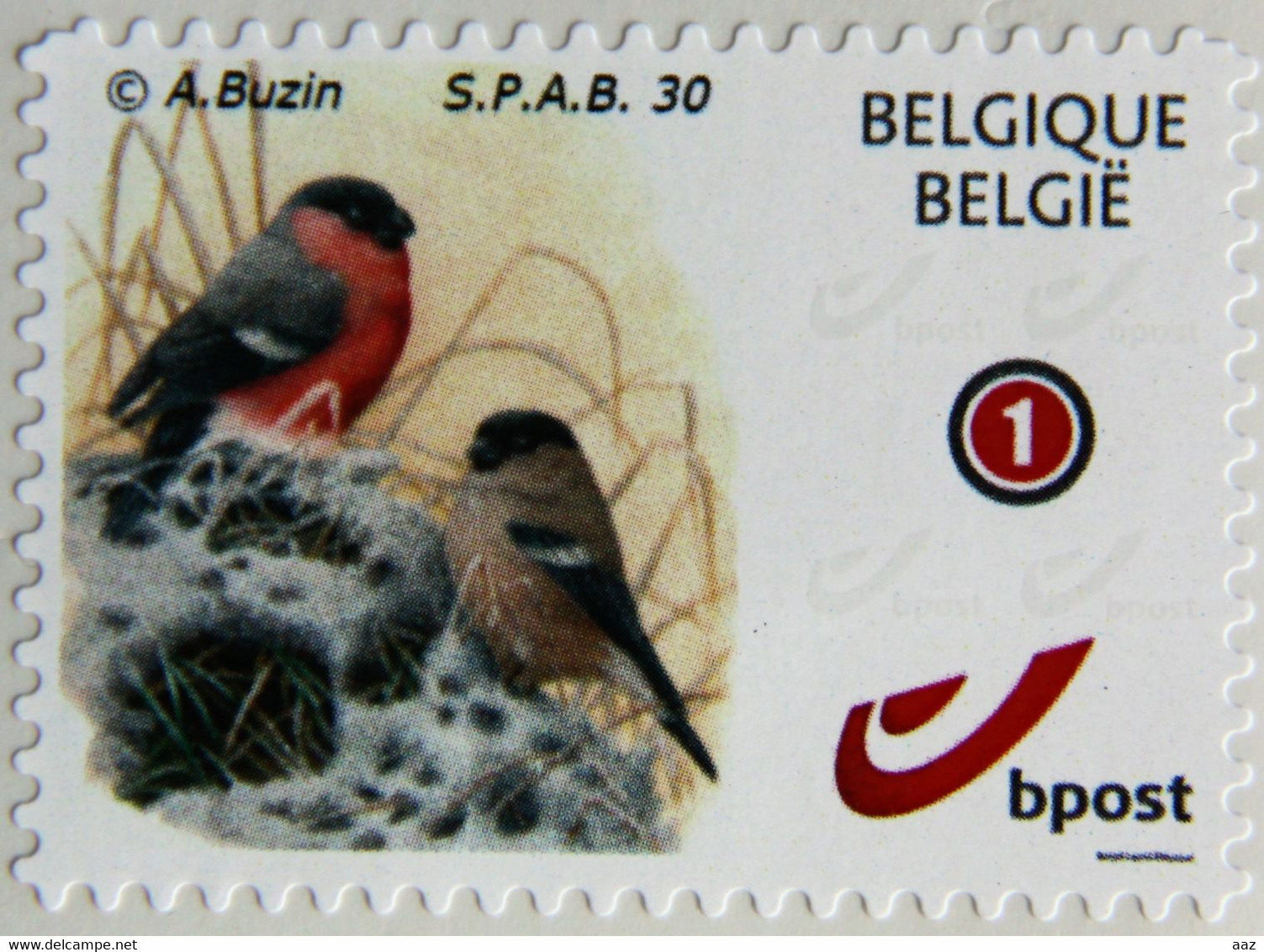 Bouvreuils SPAB 30 - 1985-.. Vogels (Buzin)