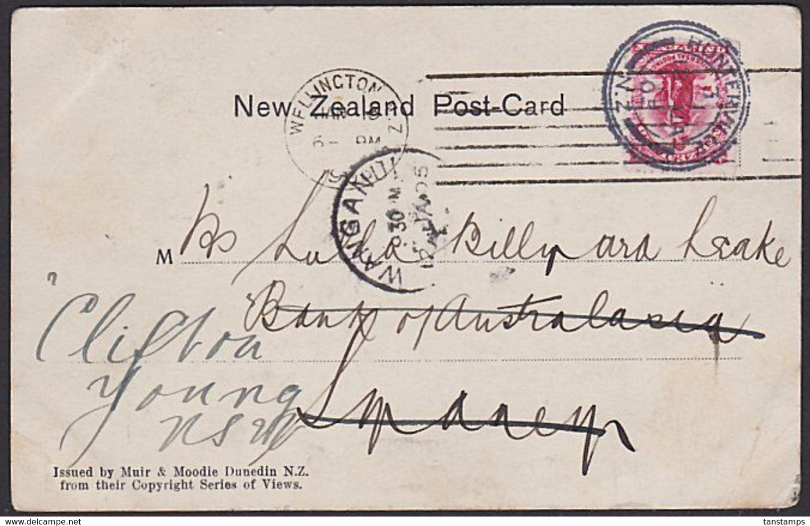 GIANT PETREL GULL NZ 1905 POSTCARD HUNTERVILLE H-CLASS & WELLINGTON MACHINE ROLLER POSTMARKS - Cartas & Documentos