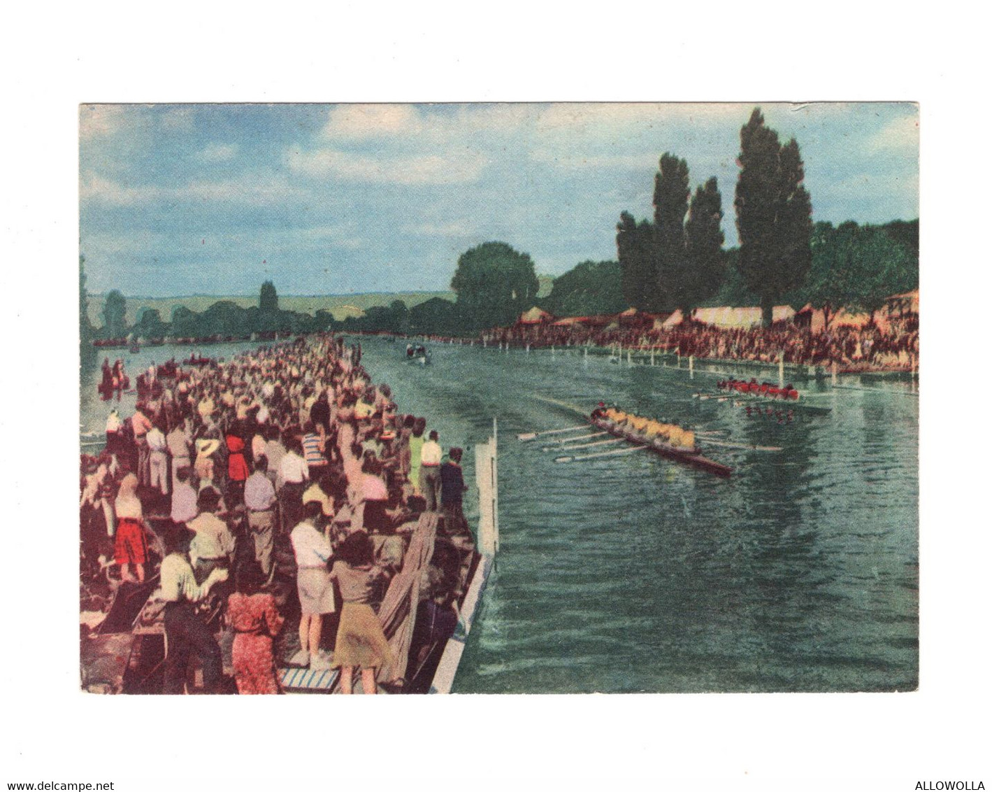 18433 " GARA DI CANOTTAGGIO OTTO JOLE-LUOGO IMPRECISATO "-VERA FOTO-CART. POST. NON SPED - Rowing