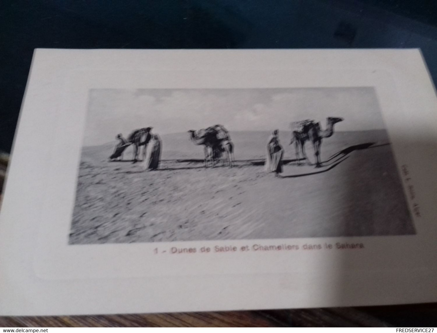 310     /  DUNES DE SABLE ET CHAMELIERS DANS LE SAHARA - Sahara Occidental