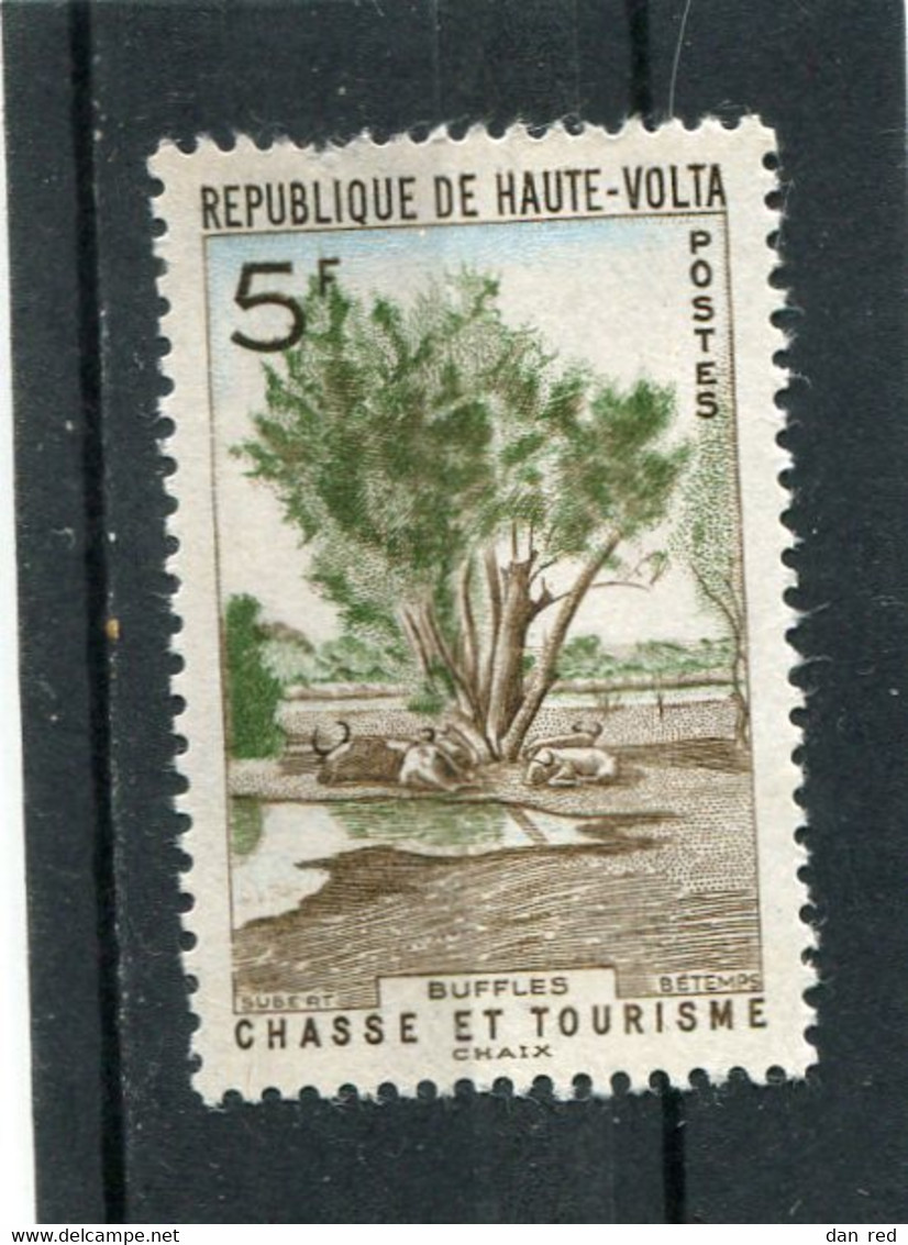 HAUTE VOLTA N°  97 **  (Y&T)  (Neuf) - Haute-Volta (1958-1984)