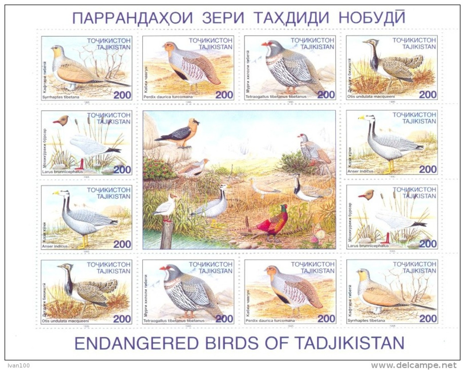 1996. Tajikistan, Birds,sheetlet, Mint/** - Tadschikistan