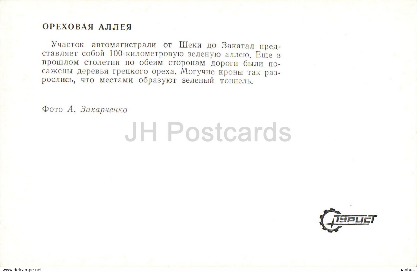 Zaqatala - Zakatala - Zakataly - Walnut Alley - 1976 - Azerbaijan USSR - Unused - Azerbaigian