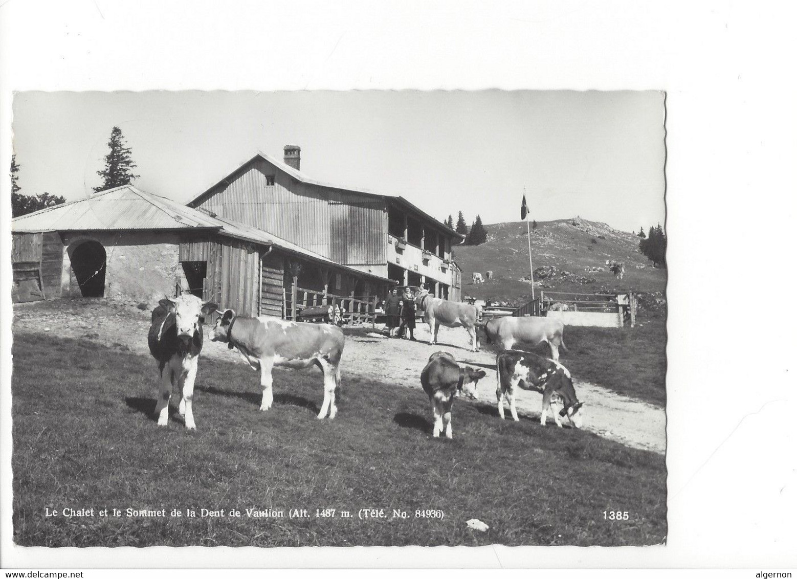 30544 - Le Chalet Et Le Sommet De La Dent De Vaulion Vaches (format 10X15) - Vaulion