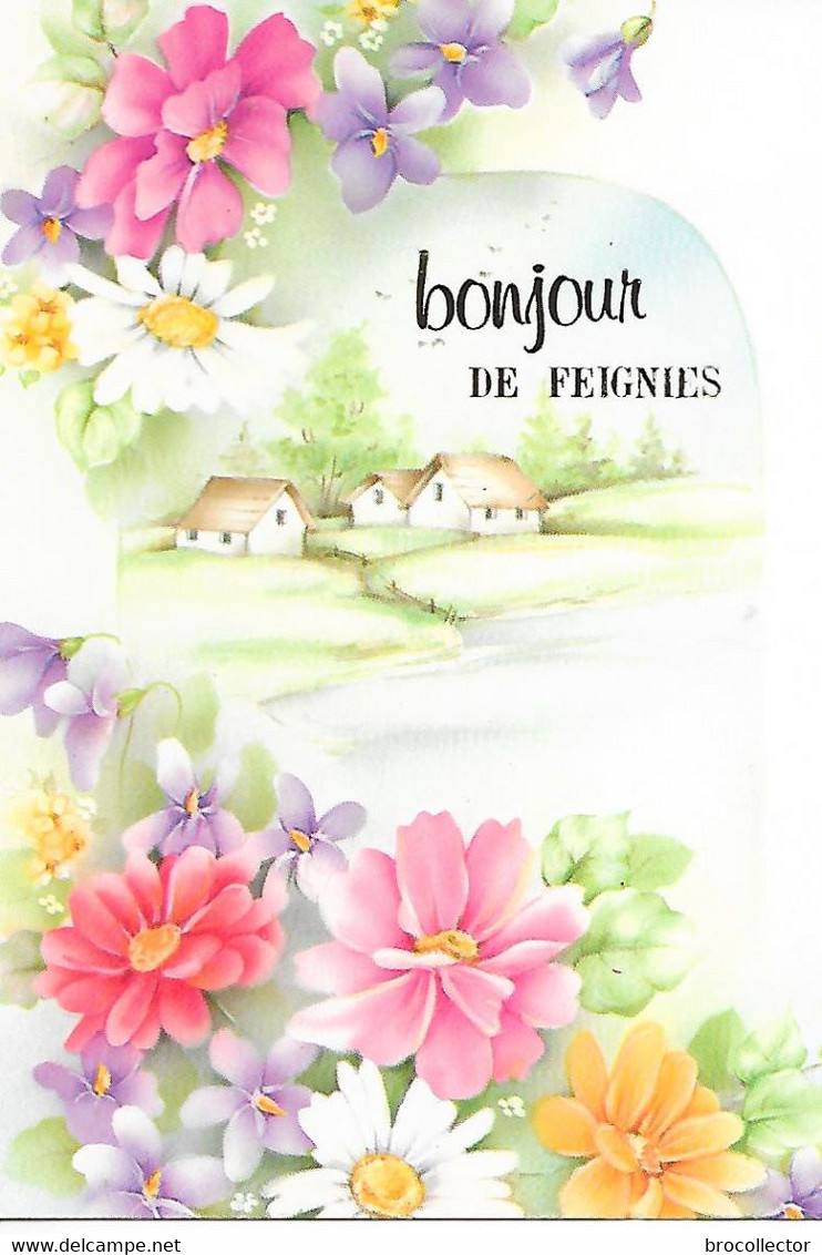 FEIGNIES ( 59 ) - Bonjour De Feignies ( C.P.M. , Gd - Ft ) - Feignies