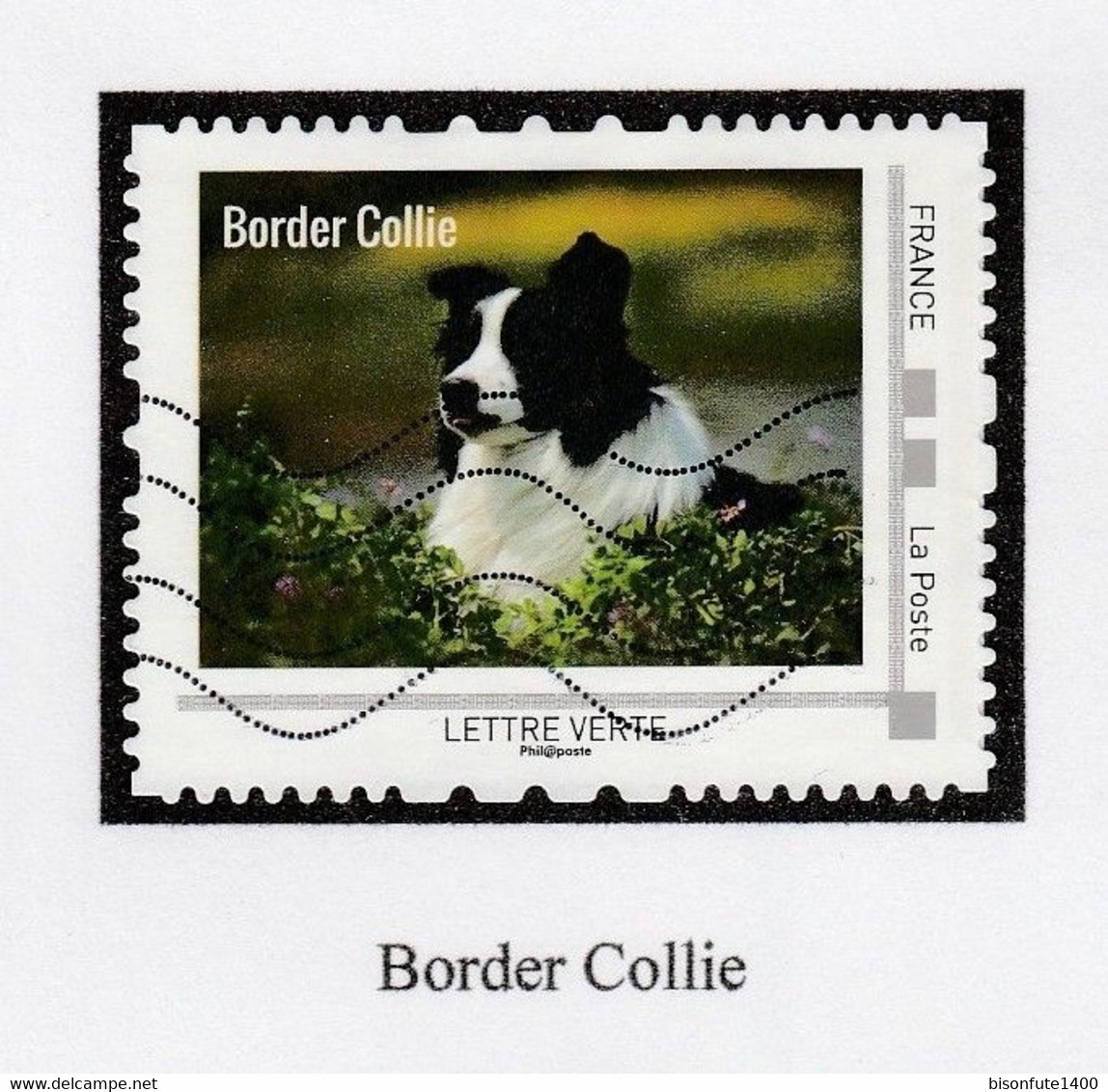 Série Complète Collector 2016 : Chiens D'assistance Et Chiens De Service, Vendue Avec Sa Feuille De Présent ( V Ph ). - Collectors