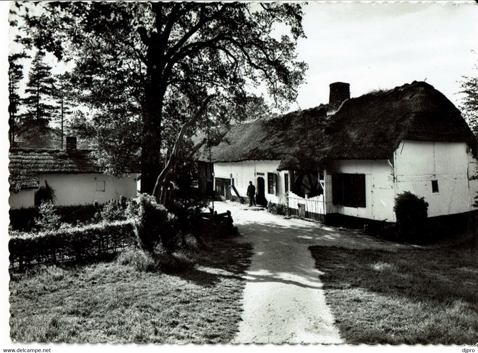 Domein Bokrijk - Genk