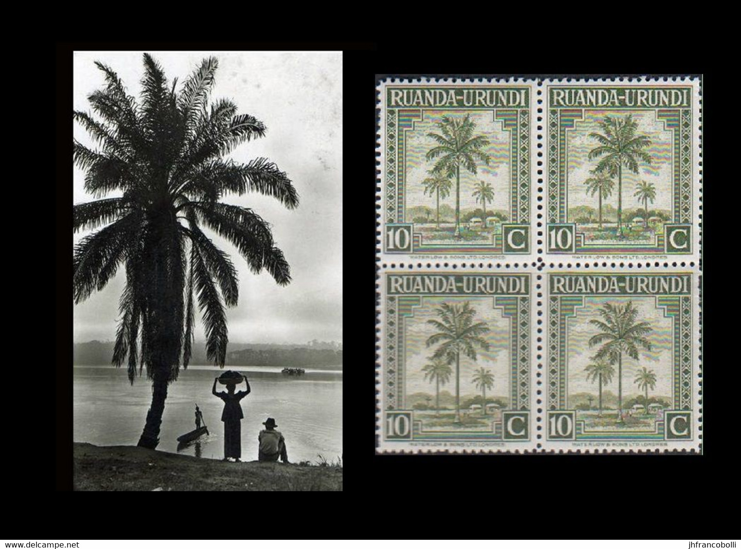 1942 ** RUANDA-URUNDI = RU 127 MNH OLIVE PALM TREES / PHOTO CARD (12.8 X 9.3 Mm) WITH BLOCK OF 4 MNH STAMPS - Ruanda-Urundi