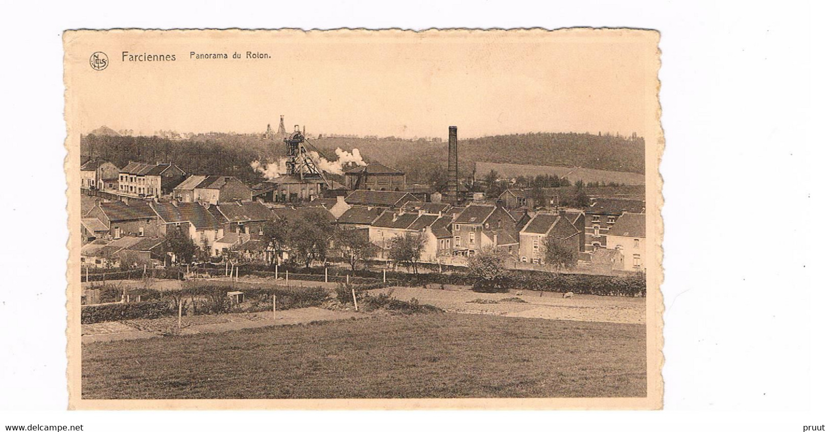 FARCIENNES - Panorama Du Roton - Farciennes