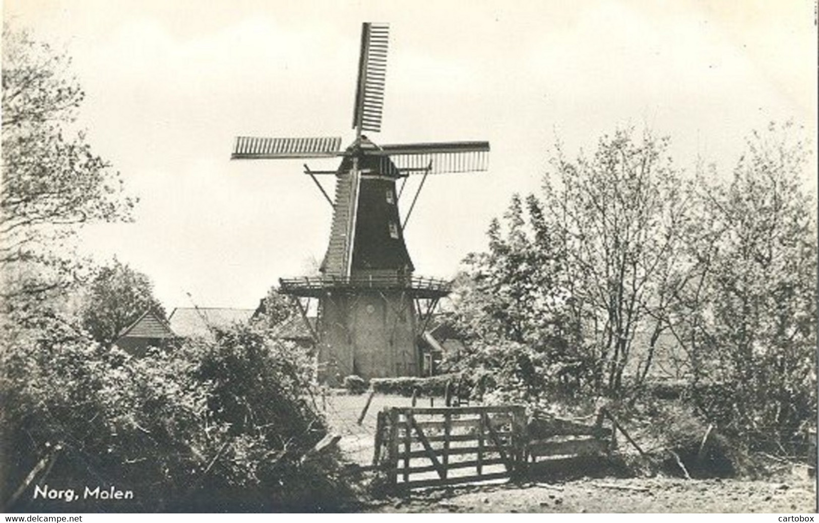 Norg, Molen - Norg