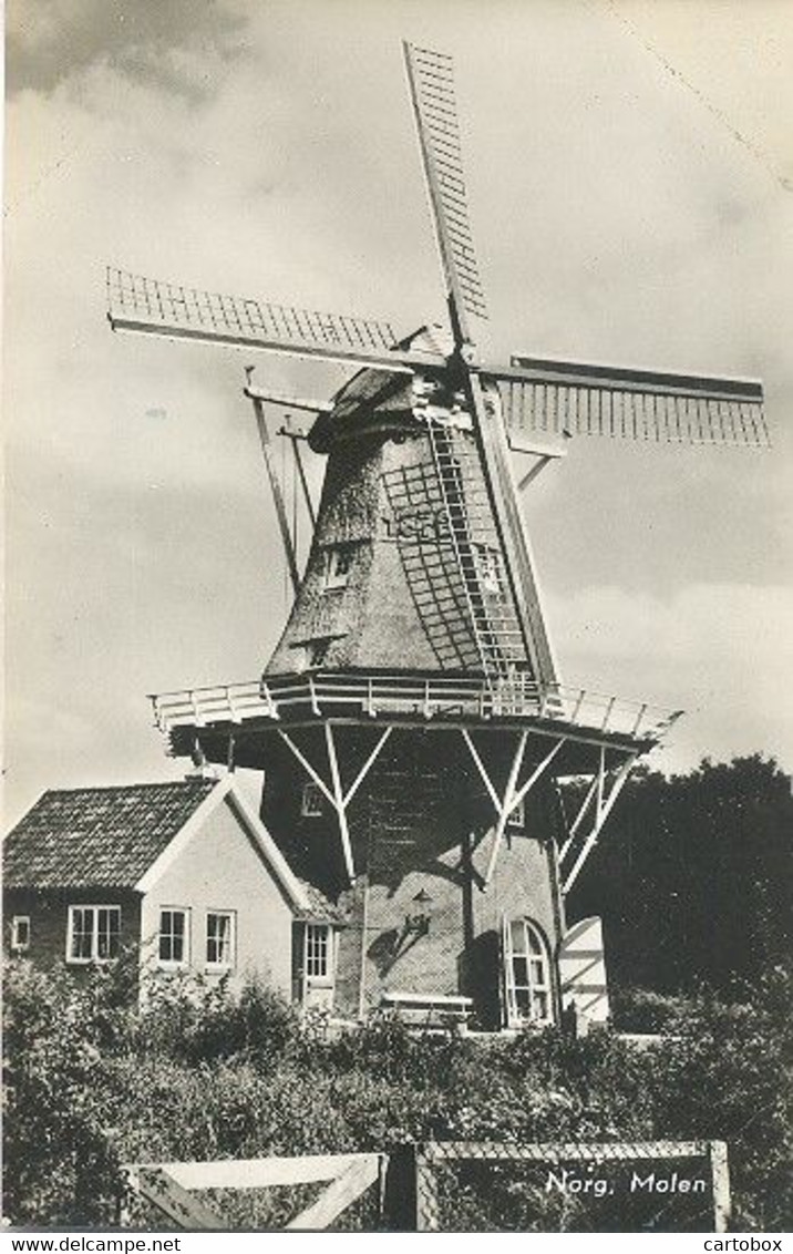 Norg,  Molen - Norg