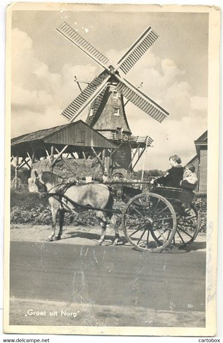 Norg, Groet Uit Norg (met Molen) - Norg