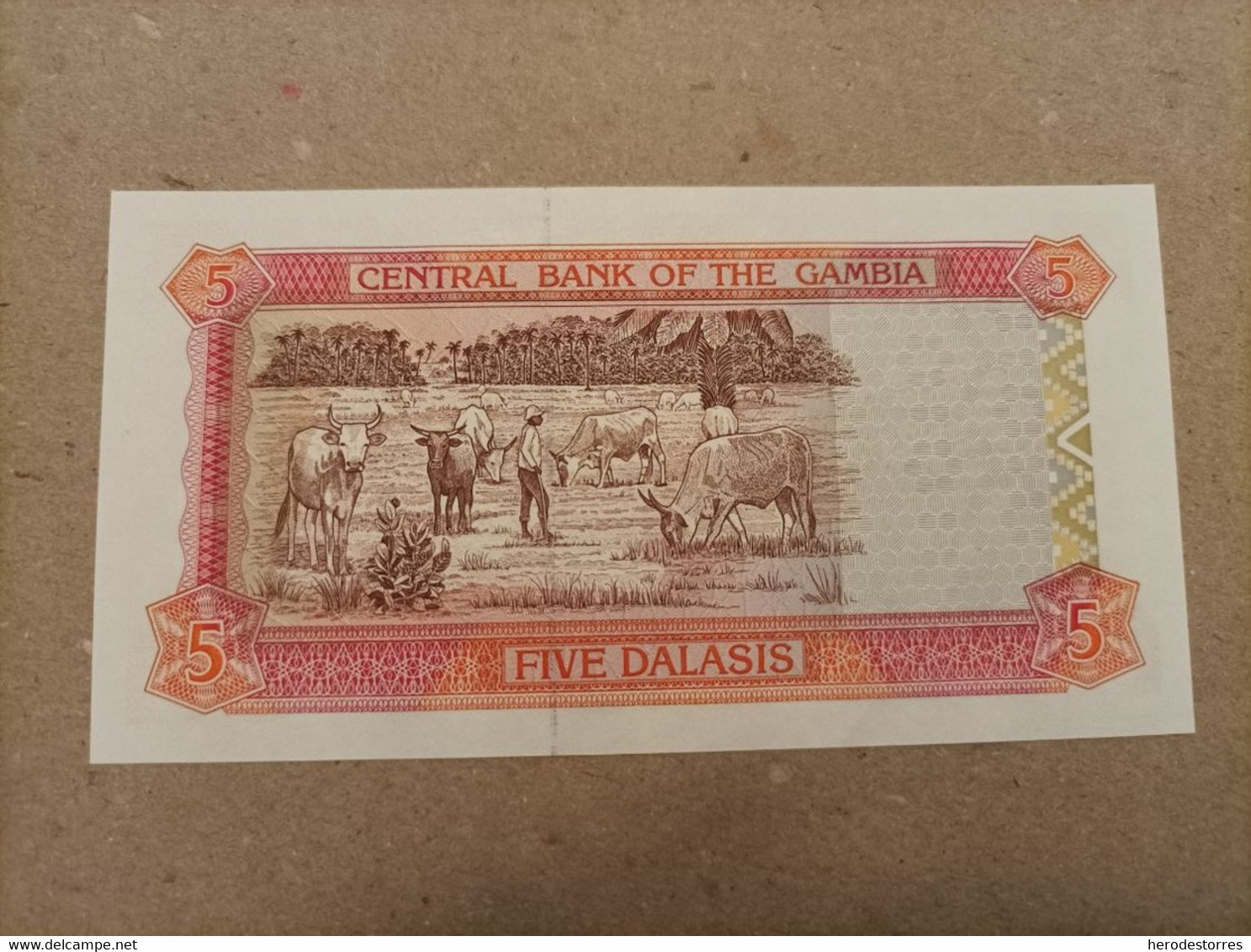 Billete De Gambia De 5 Dalasis, Año 1996, UNC - Gambia