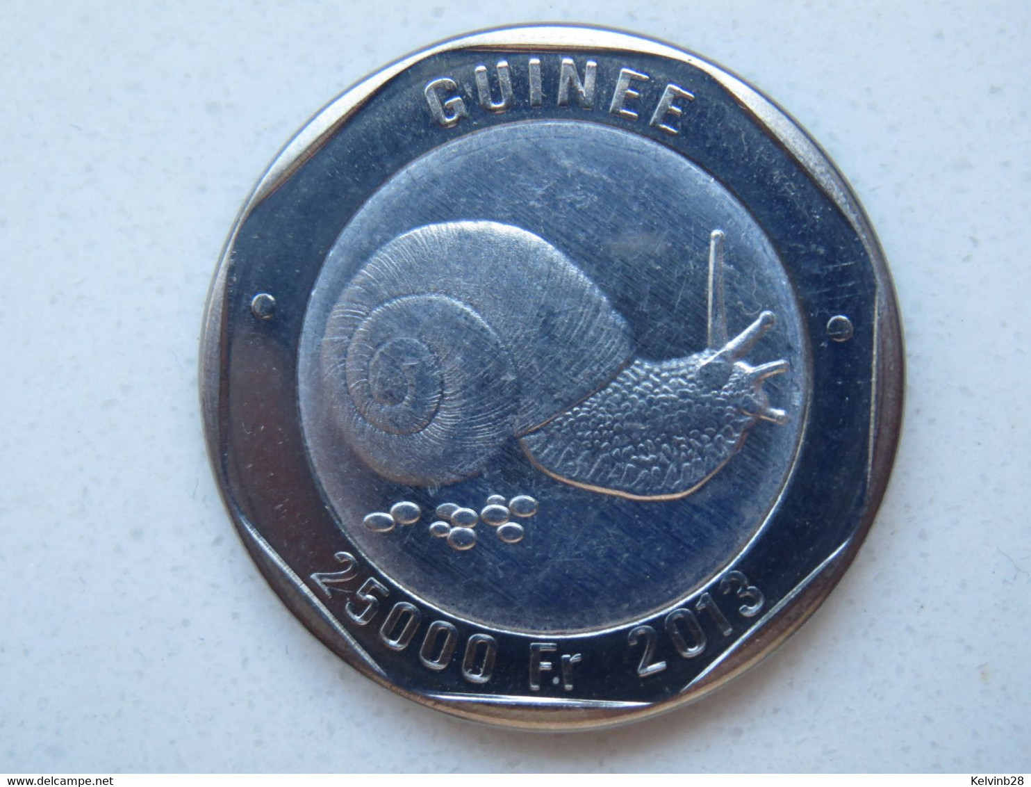 Guinee 25000 CFA Francs 2013 Snail - Guinea