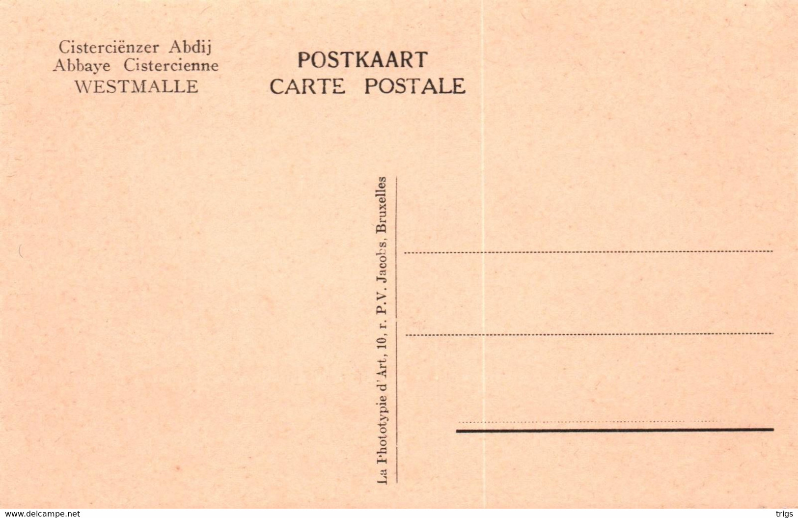 Westmalle (Cisterciënzer Abdij) - Zicht Der Abdij Genomen In Vogelvlucht - Malle