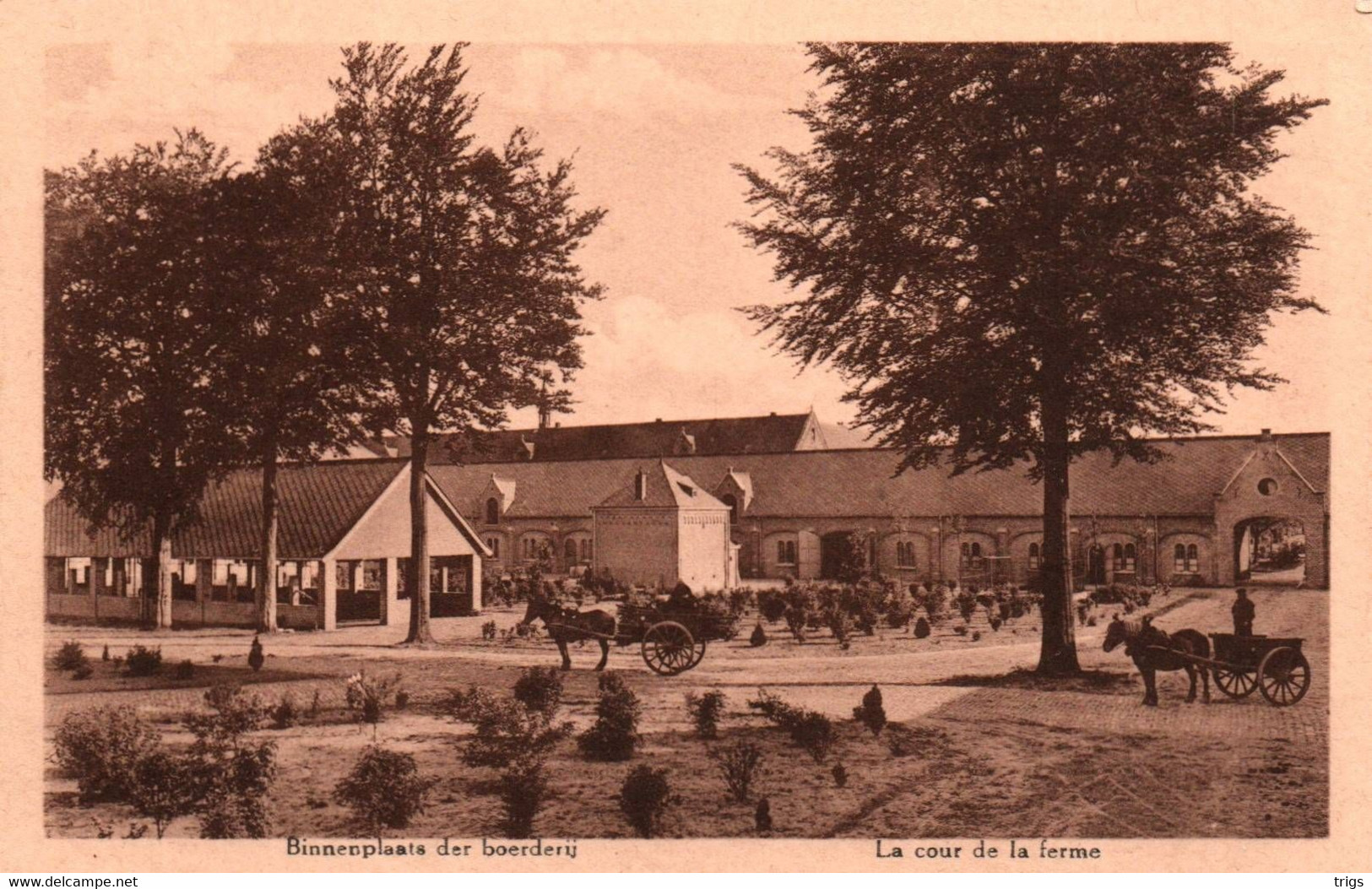 Westmalle (Cisterciënzer Abdij) - Binnenplaats Der Boerderij - Malle