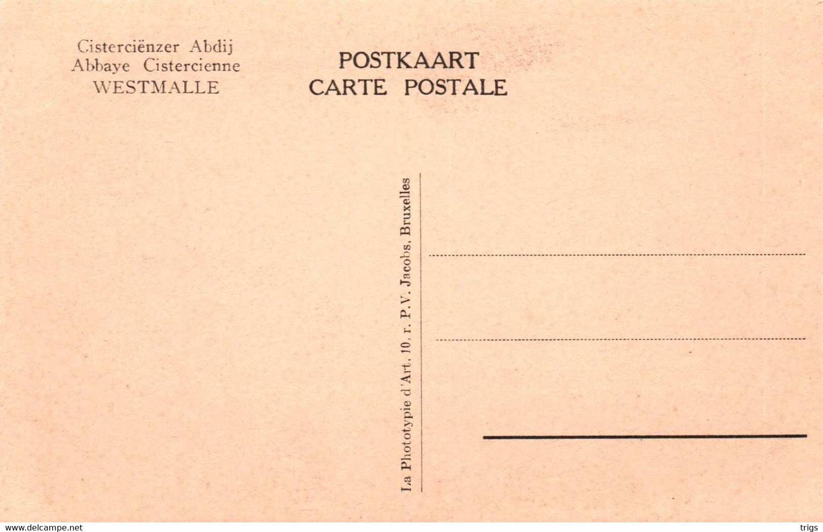 Westmalle (Cisterciënzer Abdij) - Binnenplaats Der Boerderij - Malle