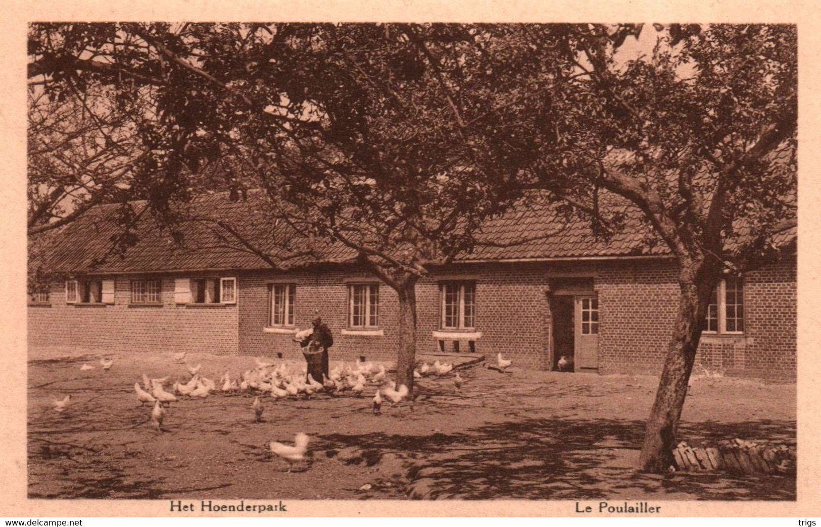 Westmalle (Cisterciënzer Abdij) - Het Hoenderpark - Malle