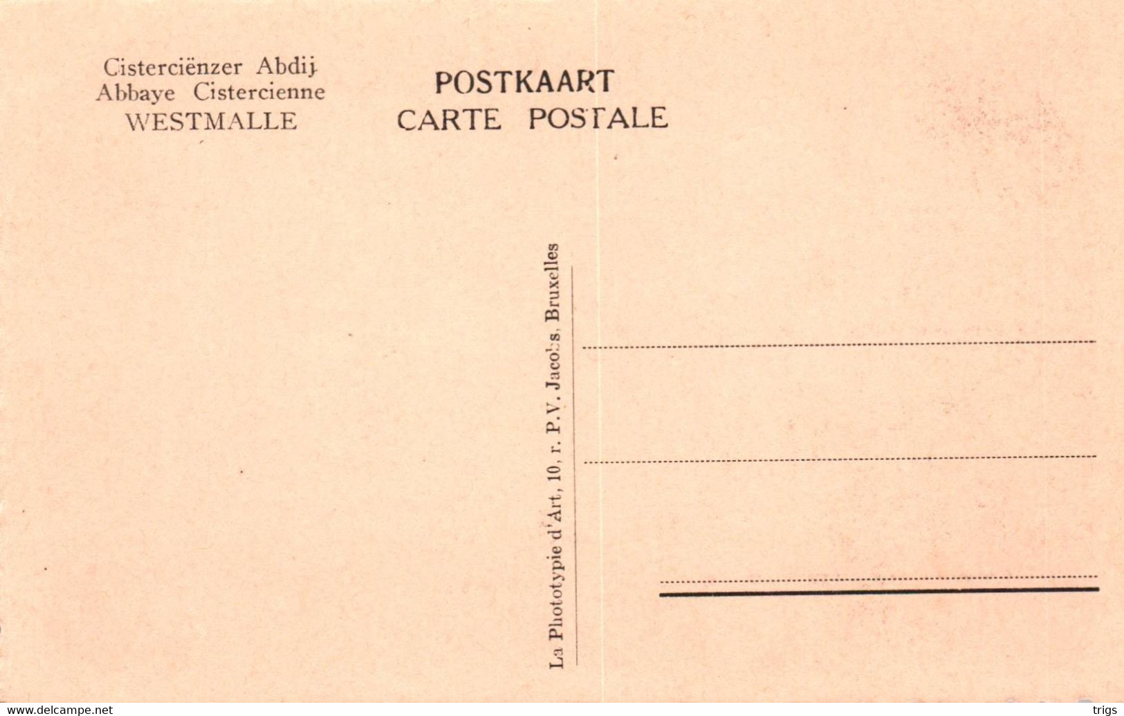 Westmalle (Cisterciënzer Abdij) - De Refter - Malle