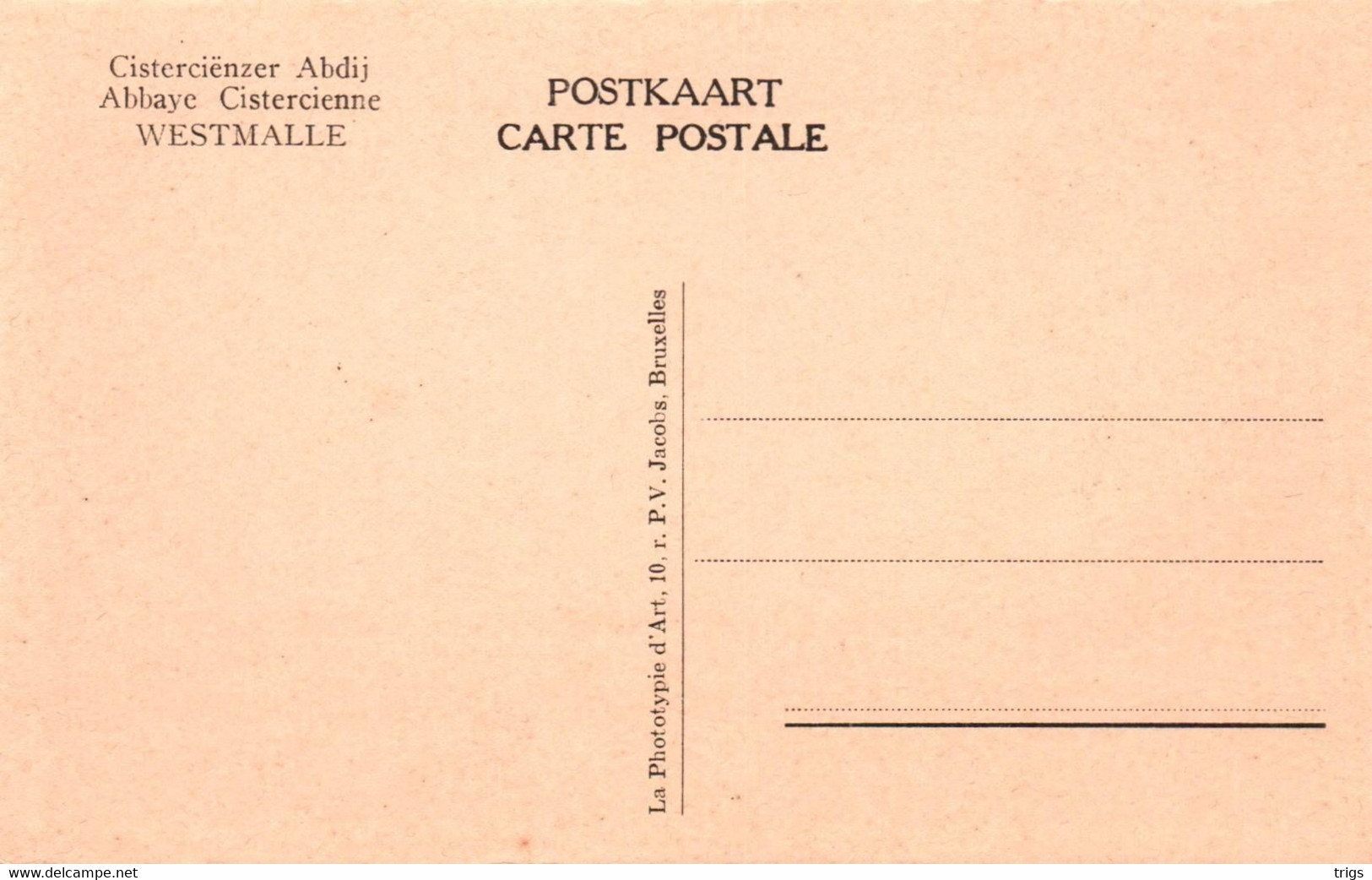 Westmalle (Cisterciënzer Abdij) - Kerktoren - Malle