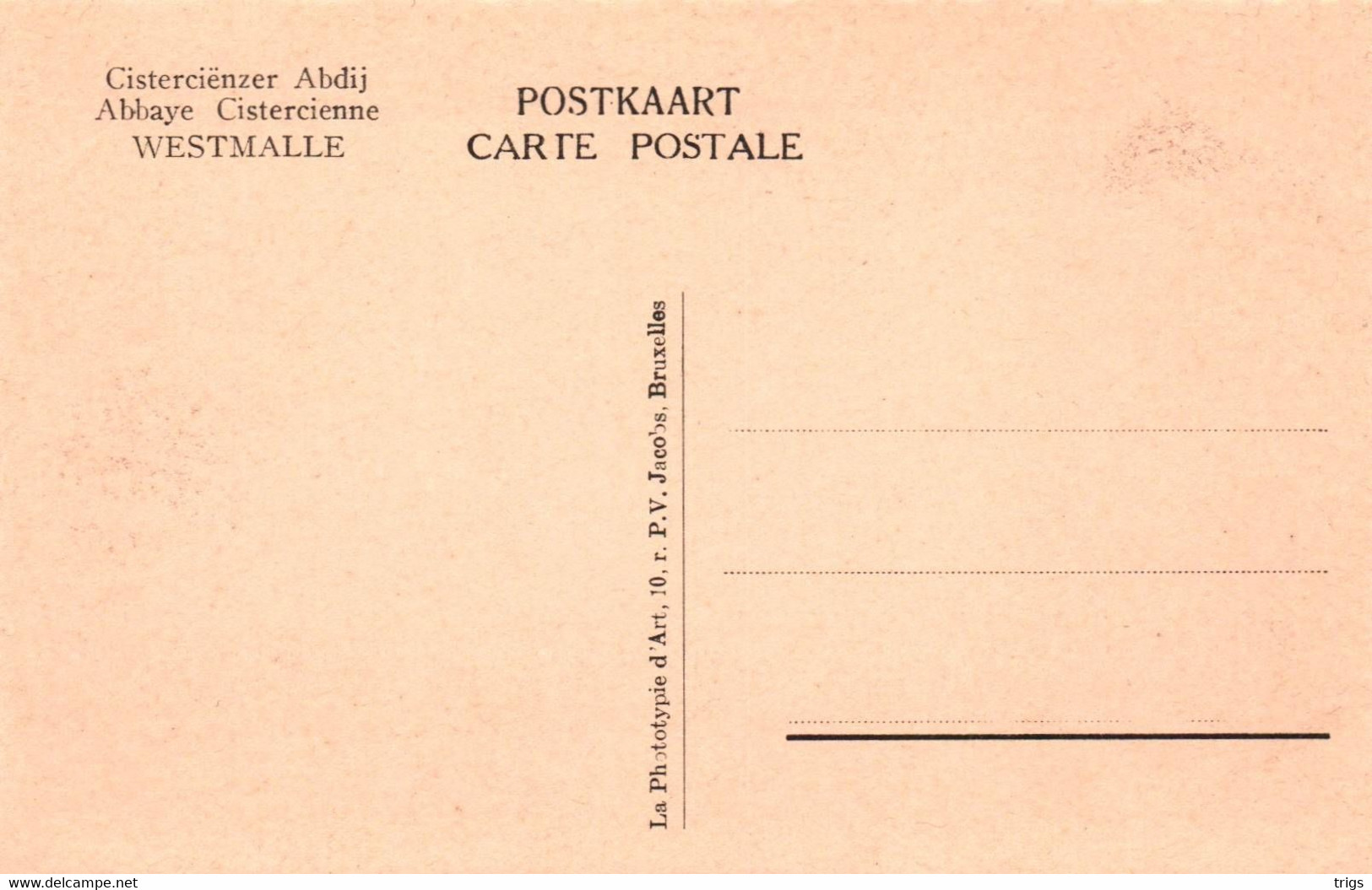 Westmalle (Cisterciënzer Abdij) - Ingang Der Kerk - Malle