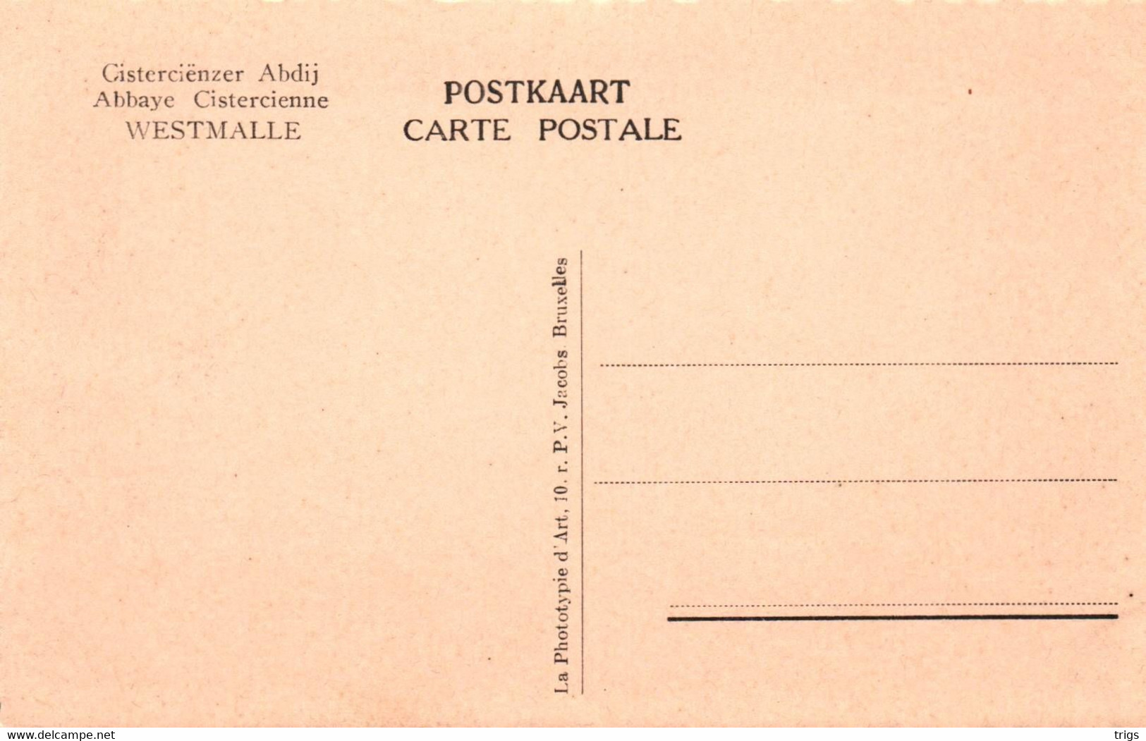 Westmalle (Cisterciënzer Abdij) - Kapittelzaal - Malle