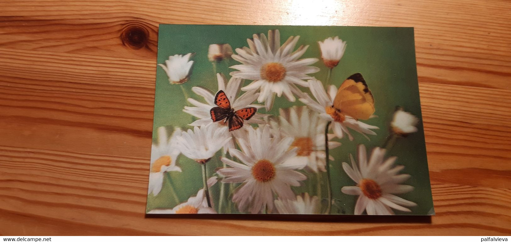 Postcard - Lenticular, 3D, Butterfly - Papillons