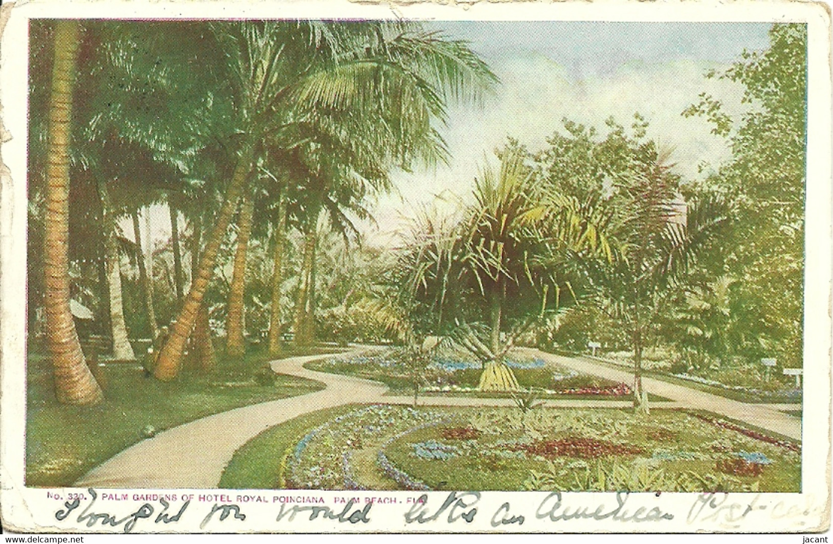 Palm Gardens Of Hotel Royal Poinciana - Palm Beach - Precurseur - Palm Beach