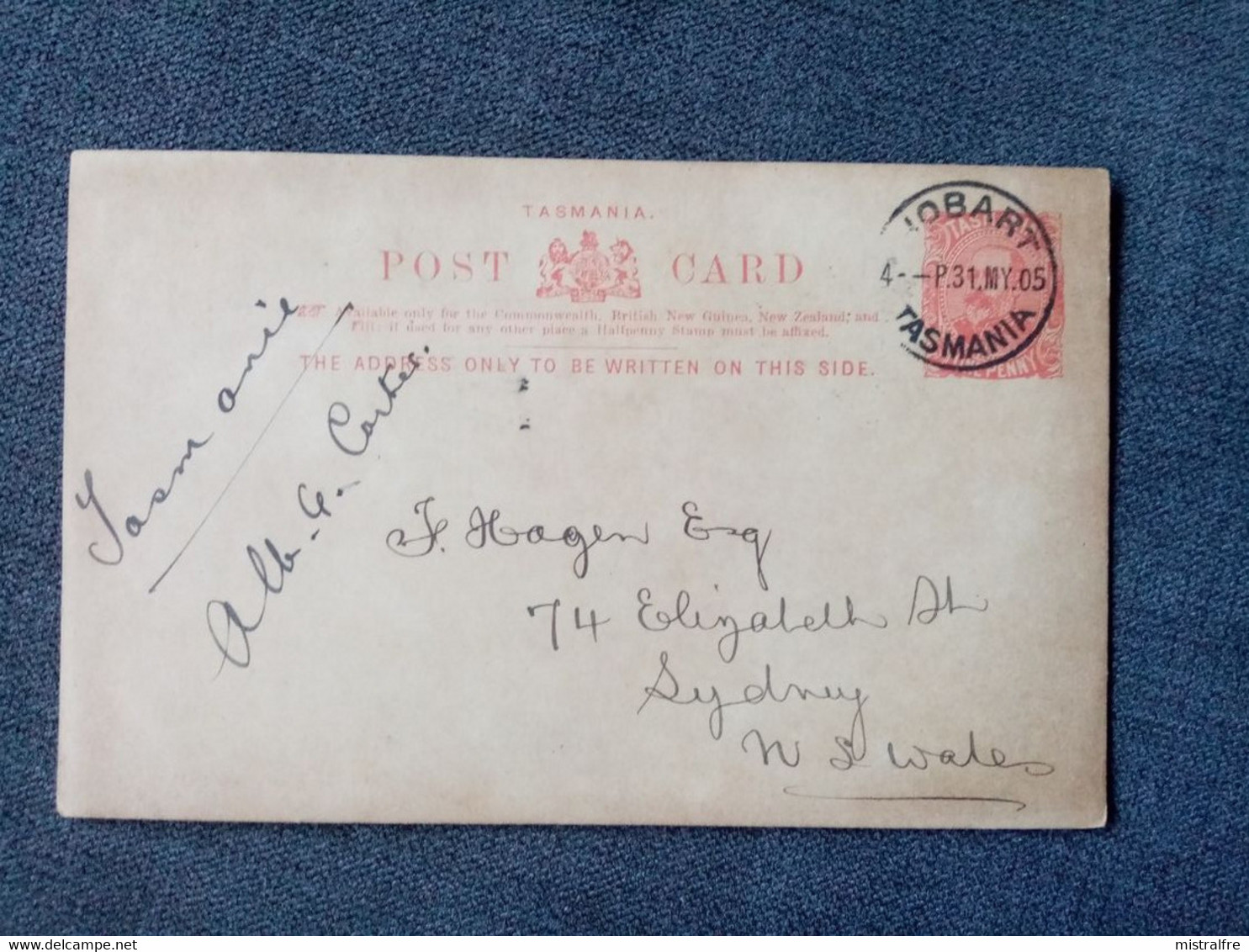 TASMANIE. 1908. Post Card De HOBARD à SYDNEY - Lettres & Documents