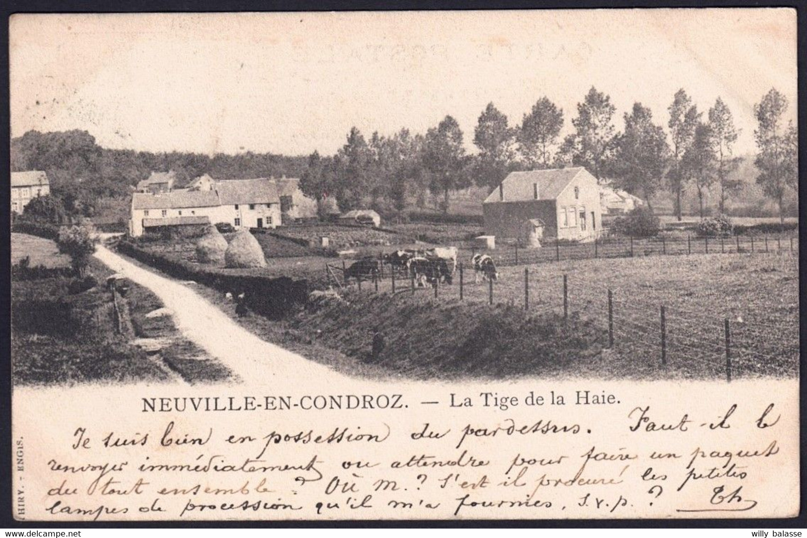 +++ CPA - NEUVILLE EN CONDROZ - La Tige De La Haie - 1904  // - Neupré