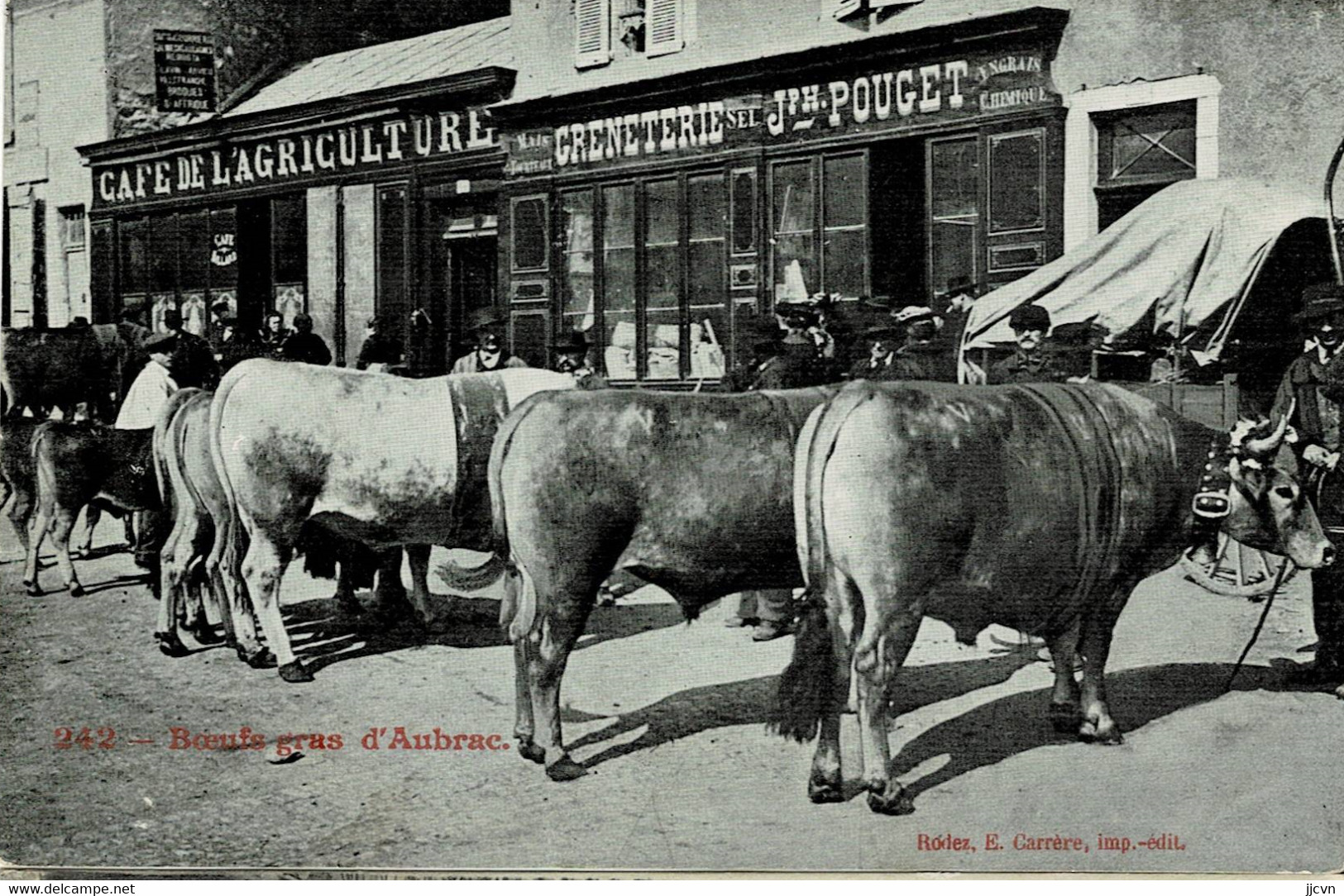 "/"48 - Lozère - Aumont Aubrac - Foire Au Boeuf Gras D' Aubrac - Marché Au Bétail - Aumont Aubrac