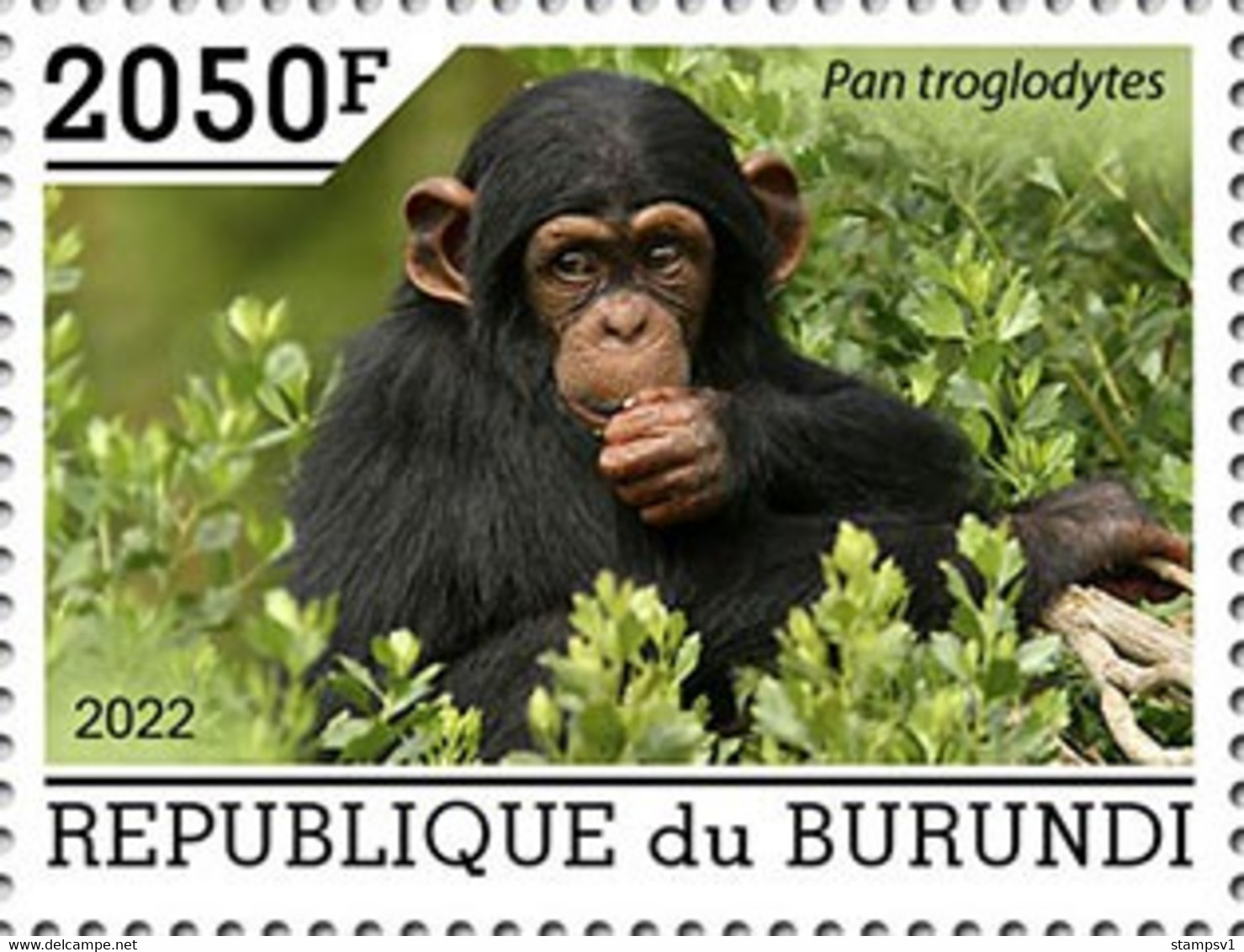 Burundi  2022 Chimpanzees. (1129a) OFFICIAL ISSUE - Chimpanzees