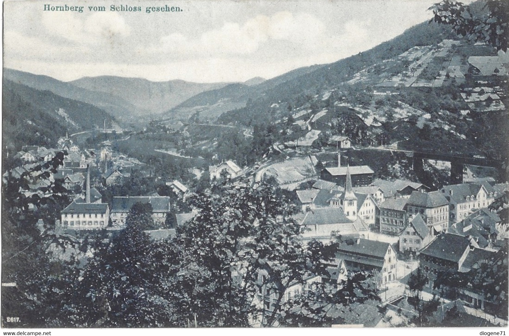 Hornberg Vom Schloss Gesehen 1905 - Hornberg