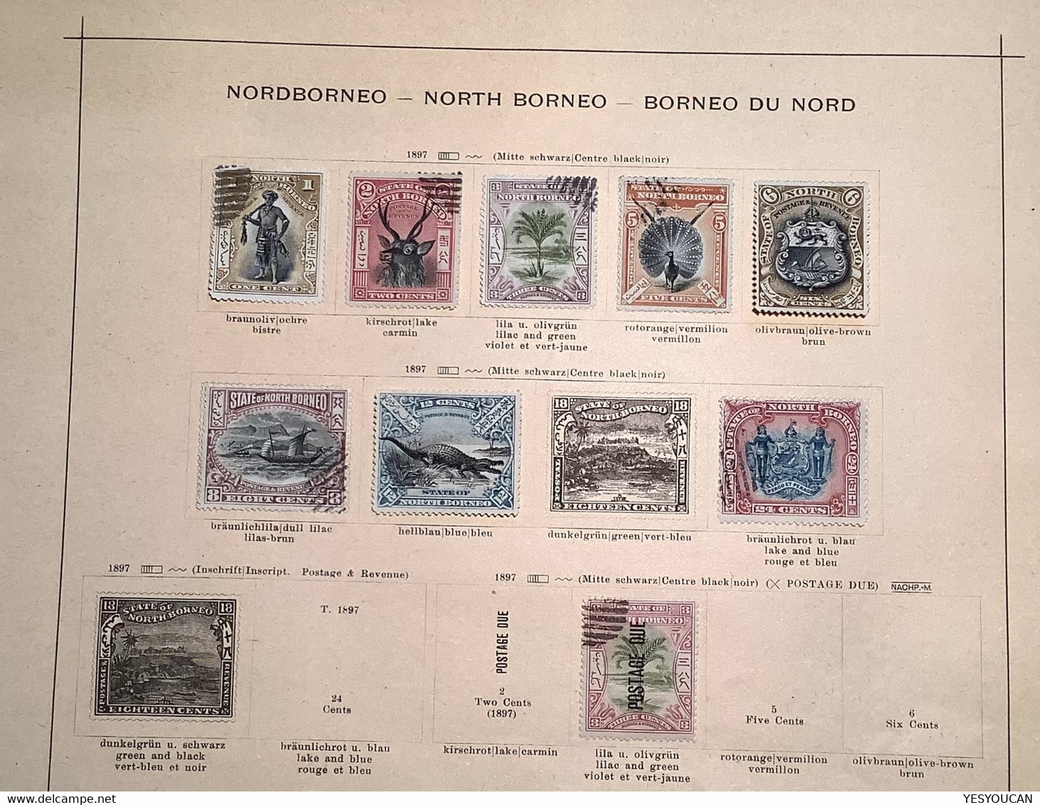 North Borneo 1886-1931 9 Page Collection Used + Unused (Bornéo Du Nord Malaysia Malaya Malaisie Sammlung - Borneo Del Nord (...-1963)