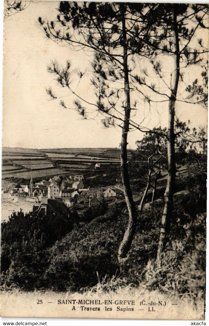 CPA St-MICHEL-en-GREVE-An Travers Les Sapins (230696) - Saint-Michel-en-Grève