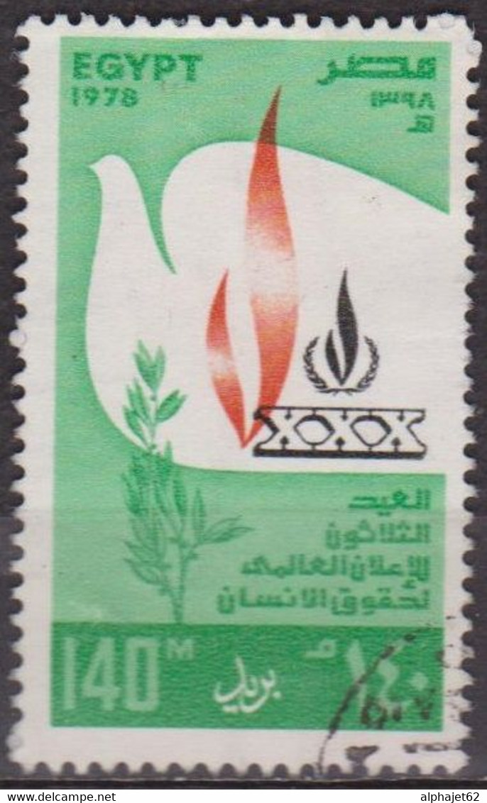 Droits De L'homme - EGYPTE - Déclaration Universelle - N° 1069 - 1976 - Used Stamps