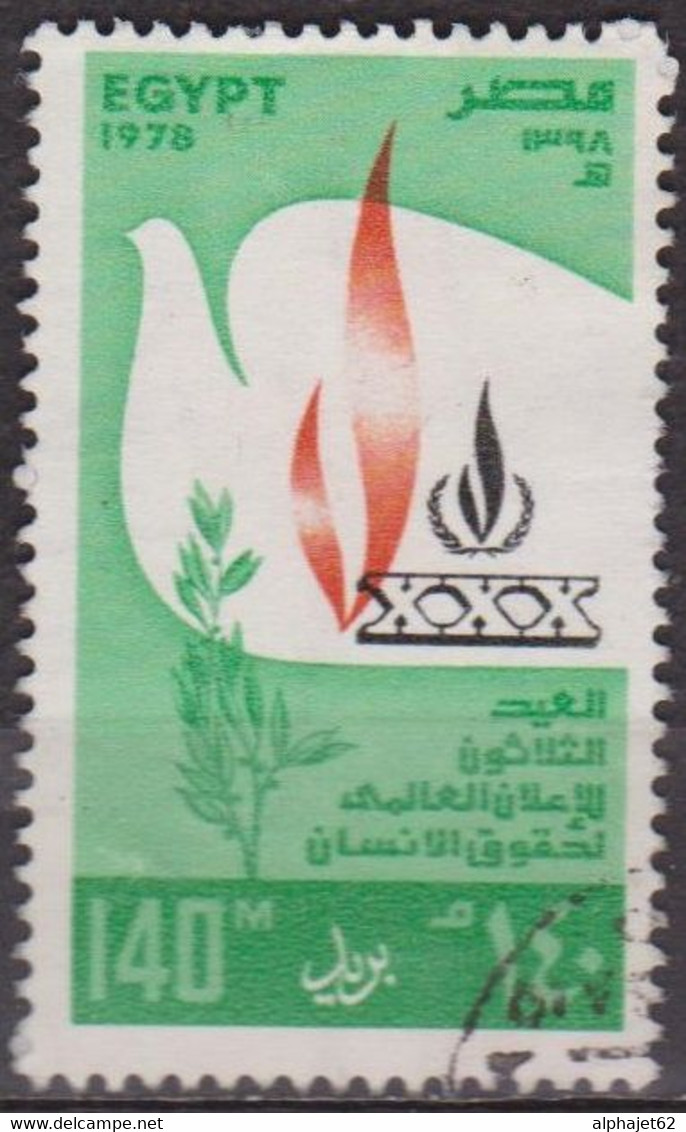 Droits De L'homme - EGYPTE - Déclaration Universelle - N° 1069 - 1976 - Usati