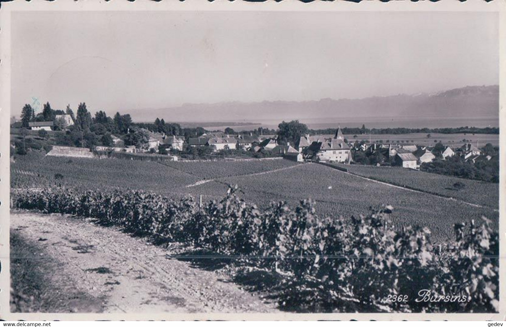 Bursins  VD, Vignes Et Village (2362) - Bursins