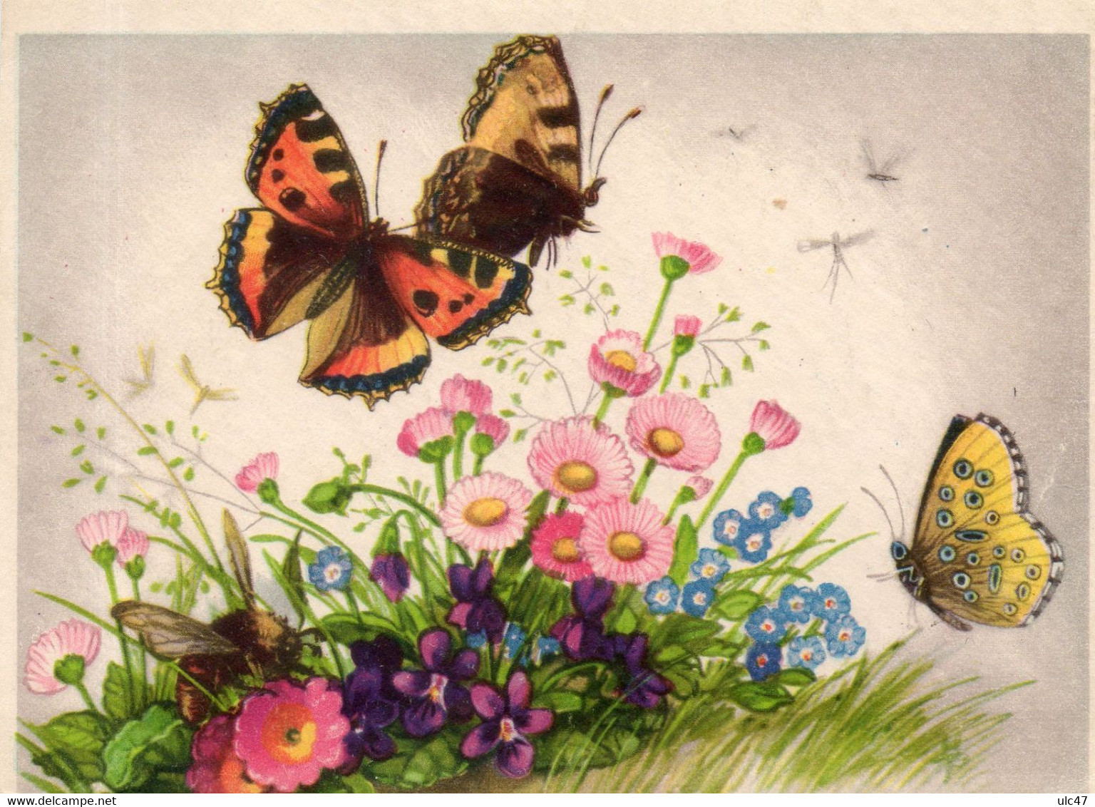 - Papillons Sur Les Fleurs - Scan Verso - - Papillons