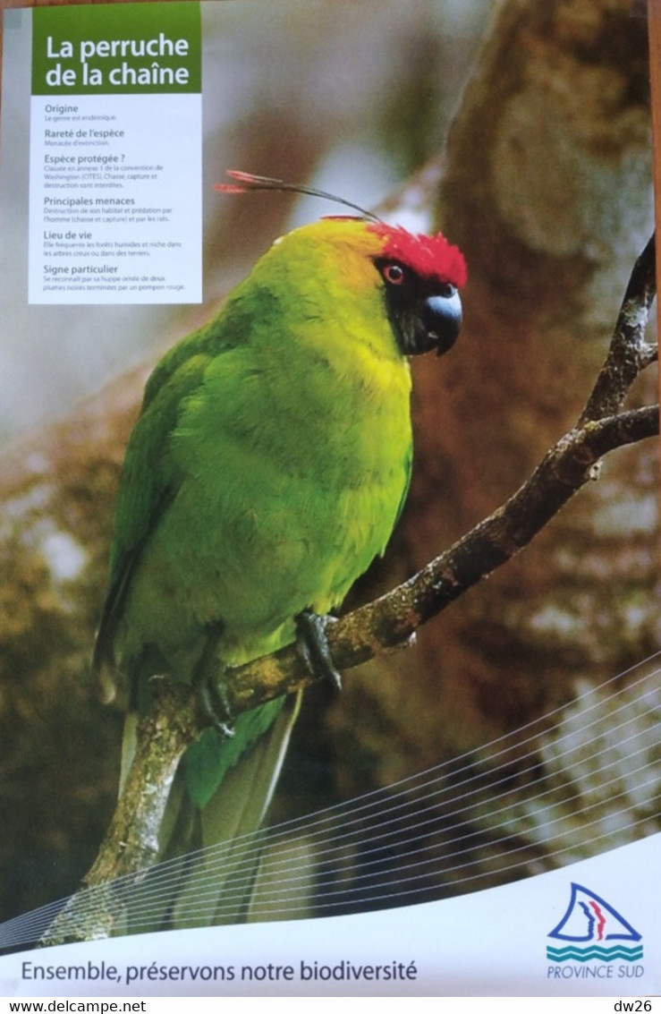Affiche Exposition: Animaux Et Oiseaux Endémiques De Nouvelle Calédonie (Province Sud) La Pérruche De La Chaîne - Plakate