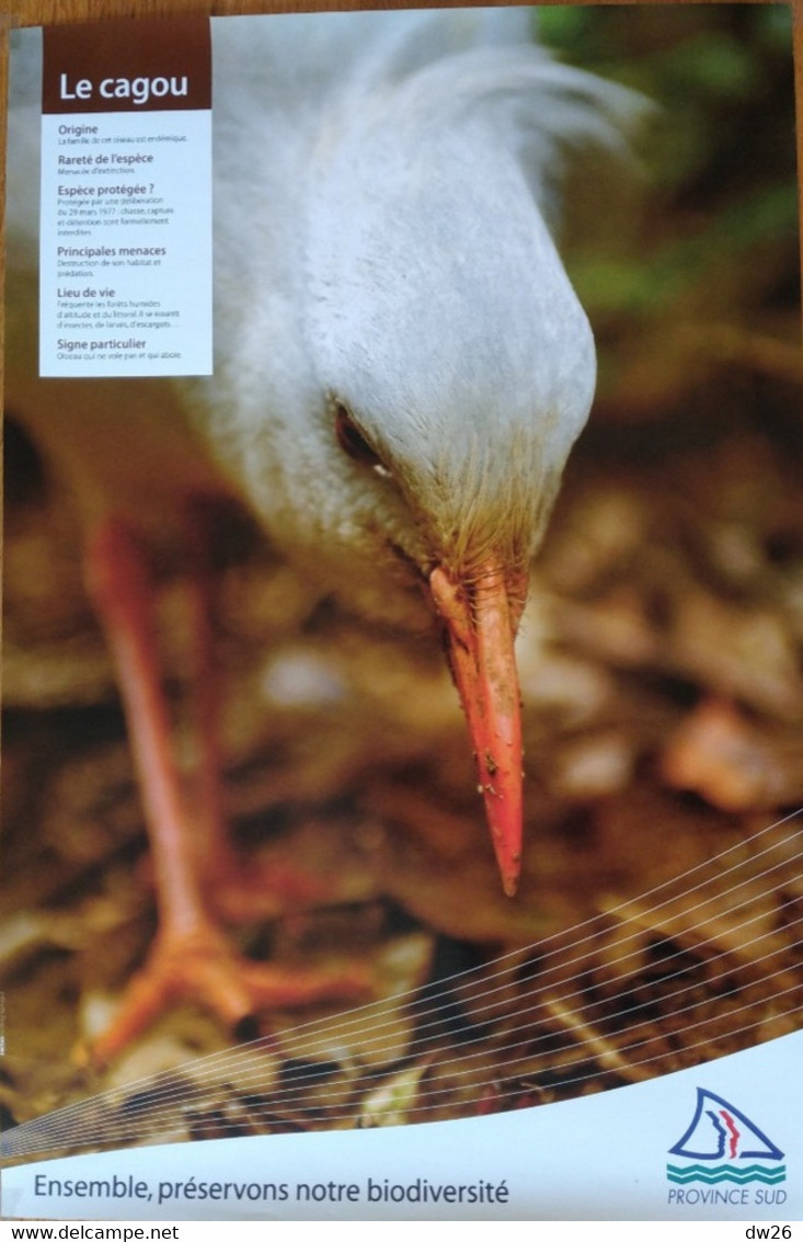 Affiche Exposition: Animaux Et Oiseaux Endémiques De Nouvelle Calédonie (Province Sud) Le Cagou - Affiches