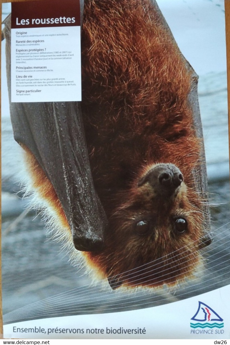 Affiche Exposition: Animaux Et Oiseaux Endémiques De Nouvelle Calédonie (Province Sud) Les Roussettes (chauve-souris) - Afiches