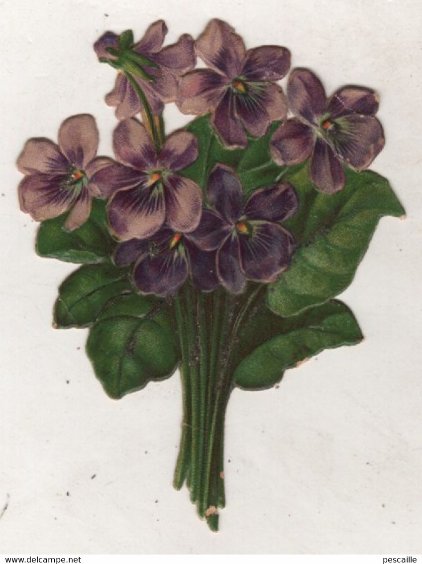 DECOUPI ANCIEN BOUQUET DE VIOLETTES / 6 X 8 CM - Fiori