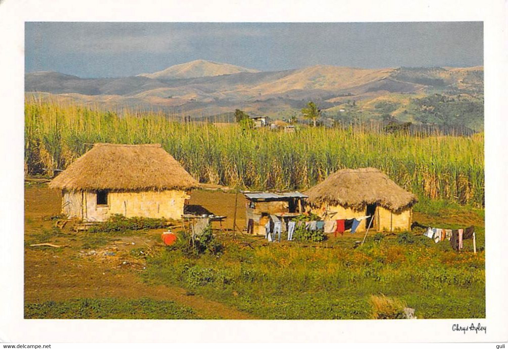 Océanie > Fidji -images Of FIJI Rural Life  STAMP TIMBRE FIJI  "Joint Issue With Vanuatu " - Figi