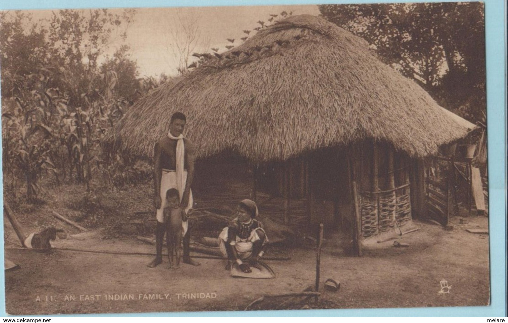 TRINIDAD TOBAGO Famille Indienne - Trinidad
