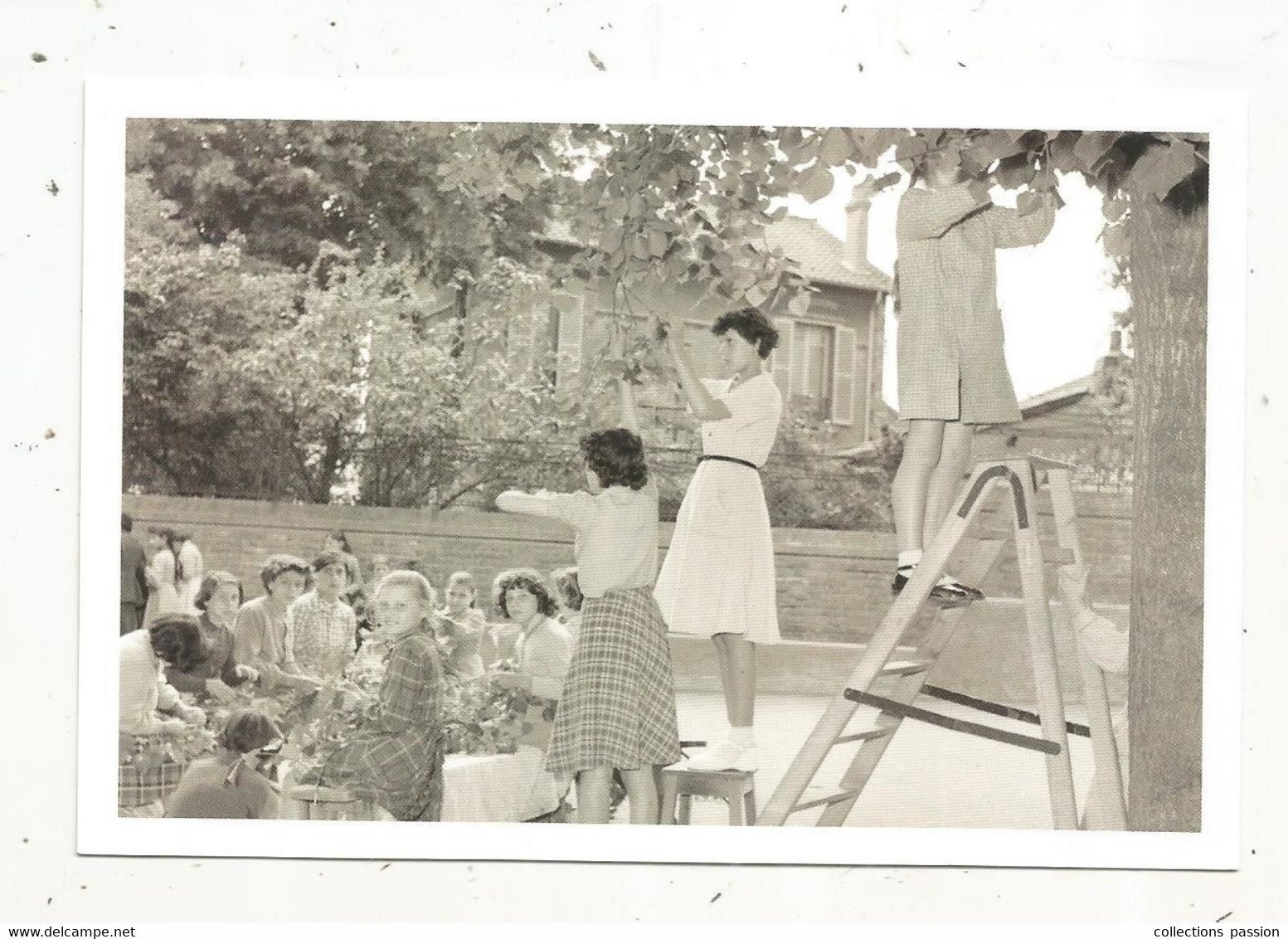 Cp,école, Musée National De L'éducation,ROUEN,INRP ,ed. Atlas , Préparation De La Fête De L'école - Ecoles