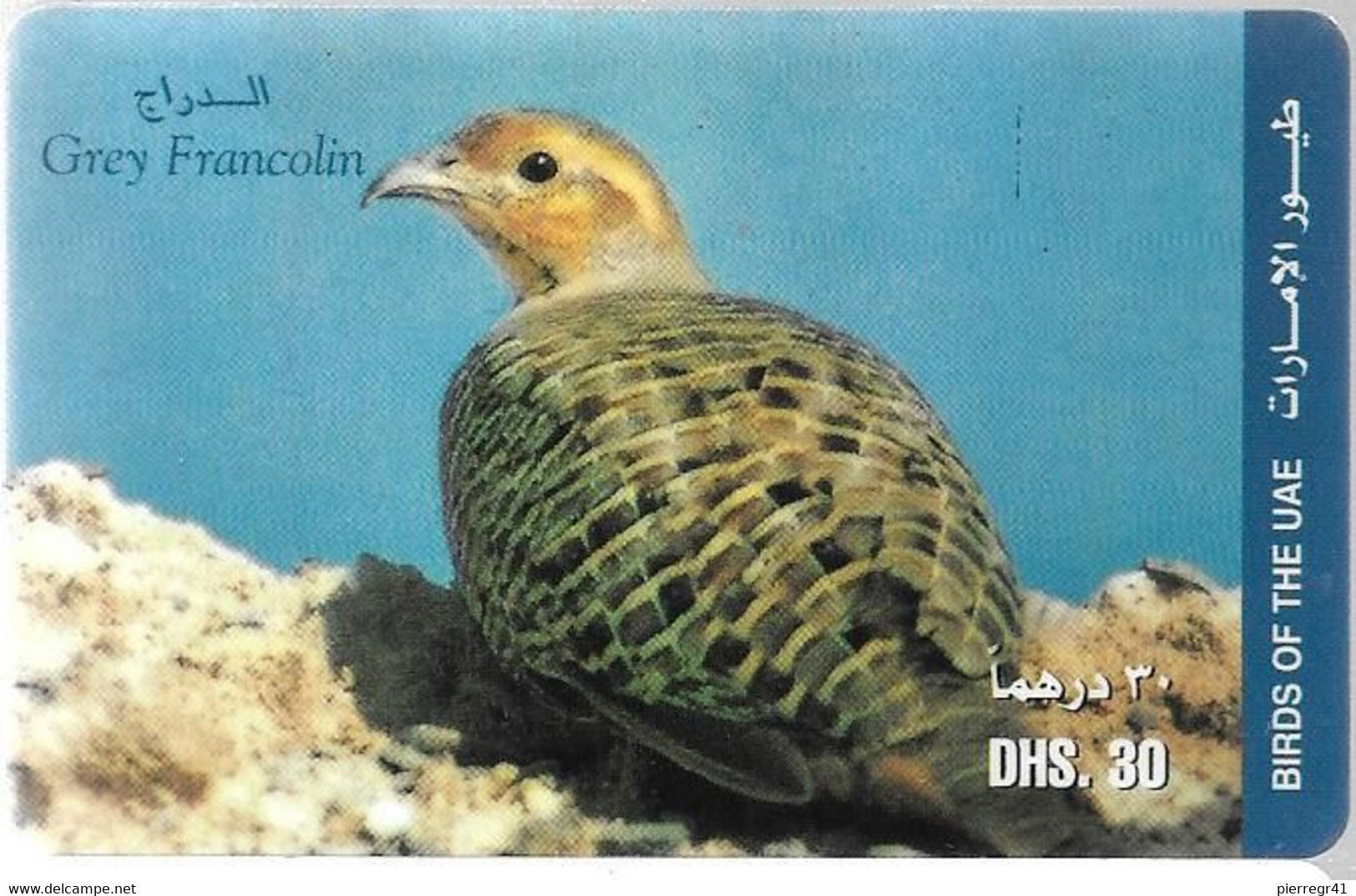 CARTE-PREPAYEE-ETISALAT-GREY FRANCOLIN-PERDRIX GRISE-Plastic Epais-TBE-RARE - Gallinaceans & Pheasants